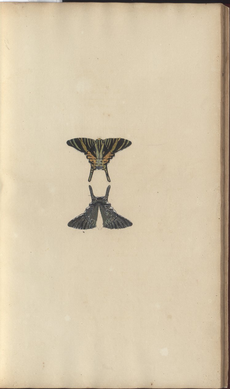 Lindsay Drawings Vol. VI, 48 de John Lindsay