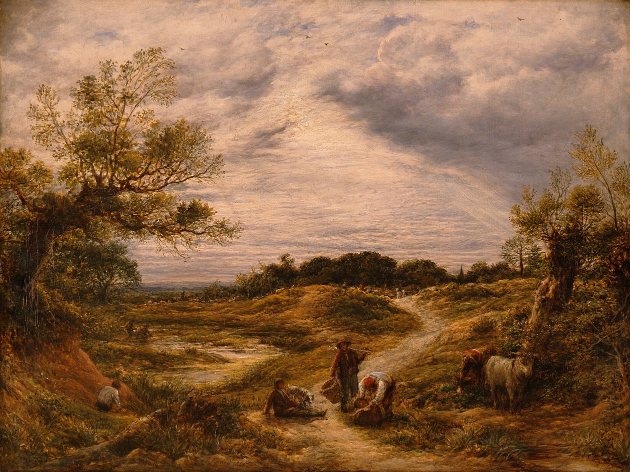 Hampstead Heath, c.1855-56 (óleo sobre tela) de John Linnell