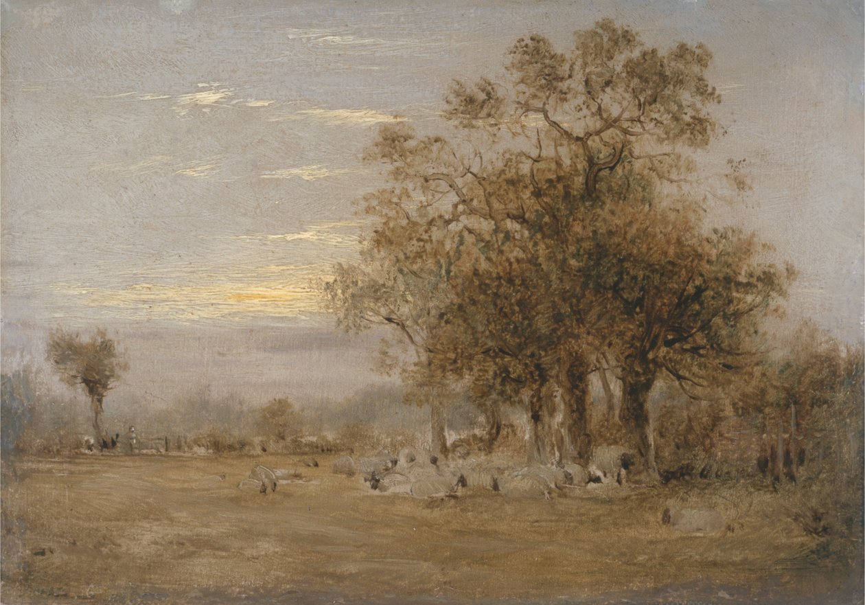 Pastoreio de ovelhas de John Linnell