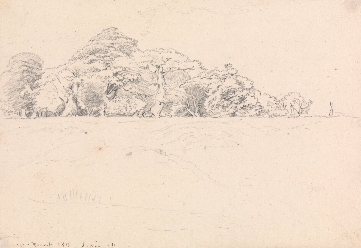 Floresta de Windsor de John Linnell
