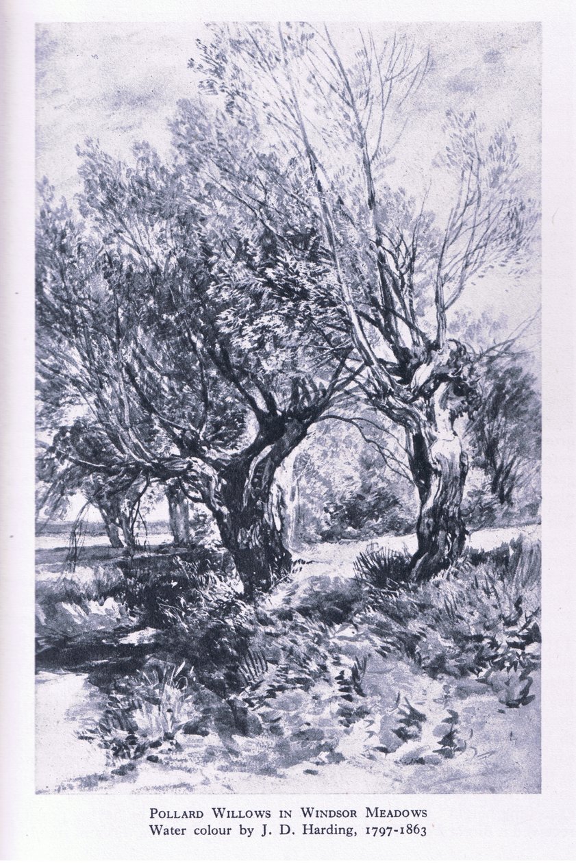 Woodcutters on the outskirts of Windsor Forest, Nature in Britain publicado pela Collins de John Linnell