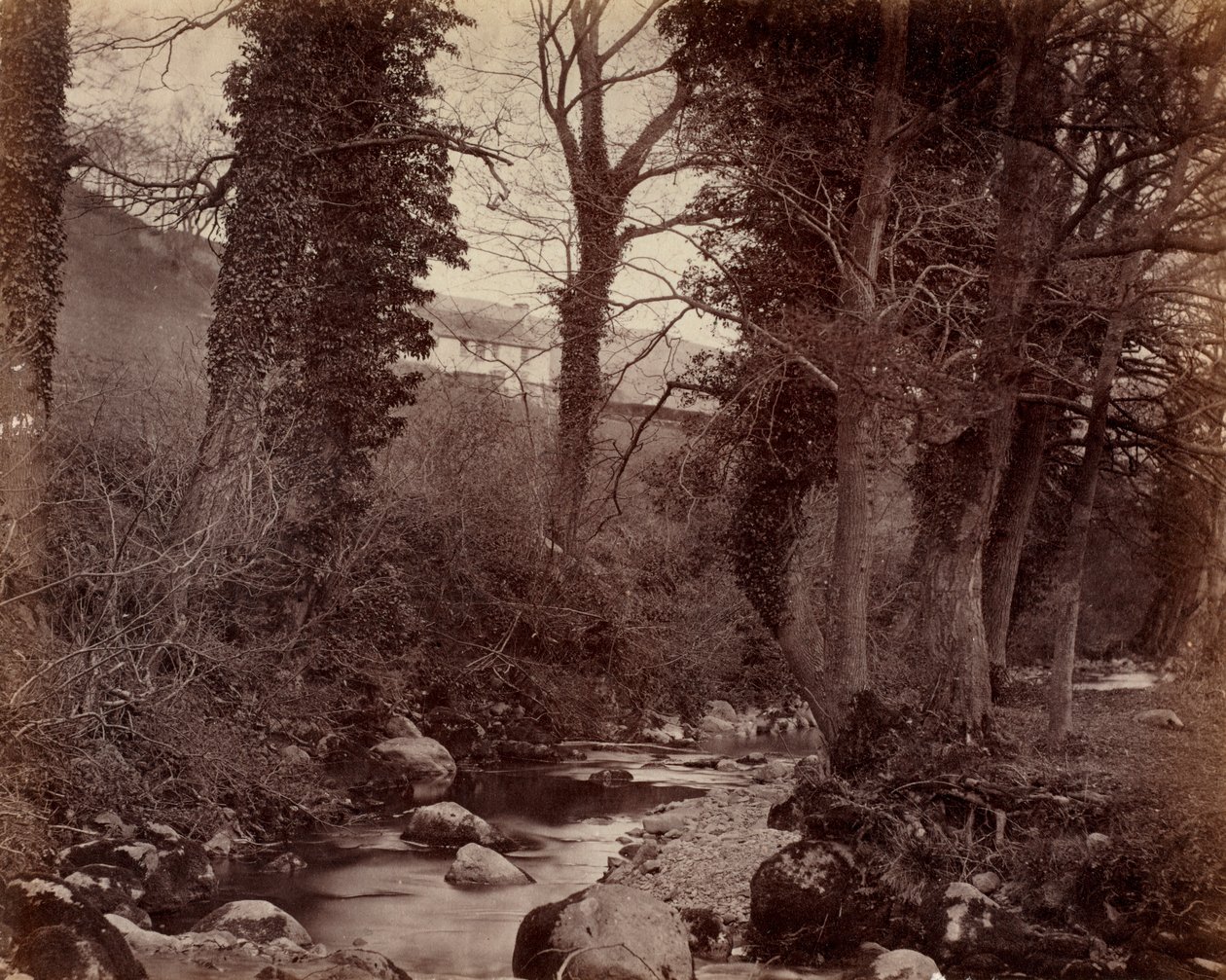 Sem título, c. 1859. de John Lloyd