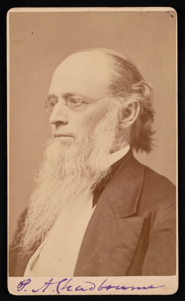 Retrato de Paul Ansel Chadbourne 1823-1883, Entre 1872 e 1875. de John Lyman Lovell