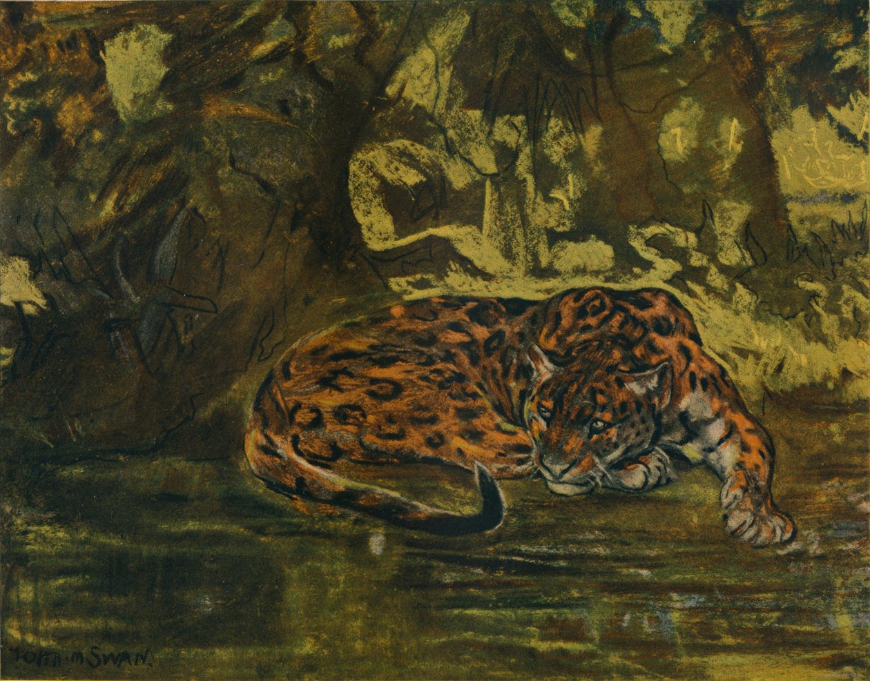 Para Jaguar, c1900 de John Macallan Swan