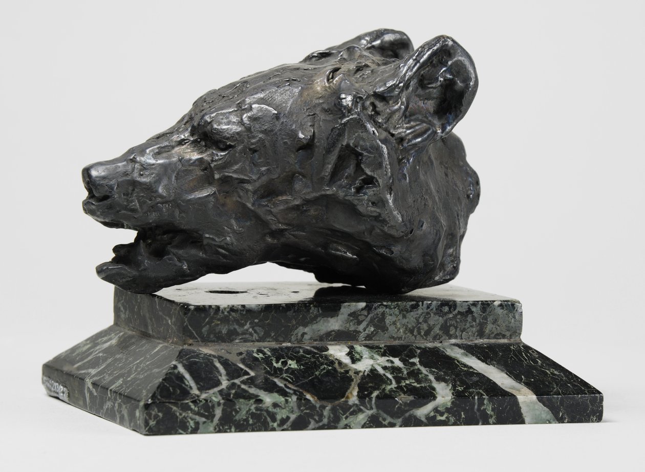 Cabeça de Urso, c.1900 (bronze) de John Macallan Swan