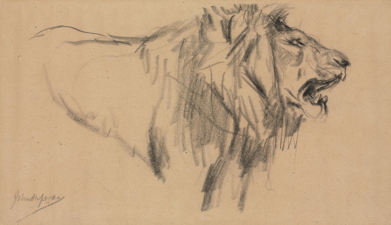 Leão. de John Macallan Swan