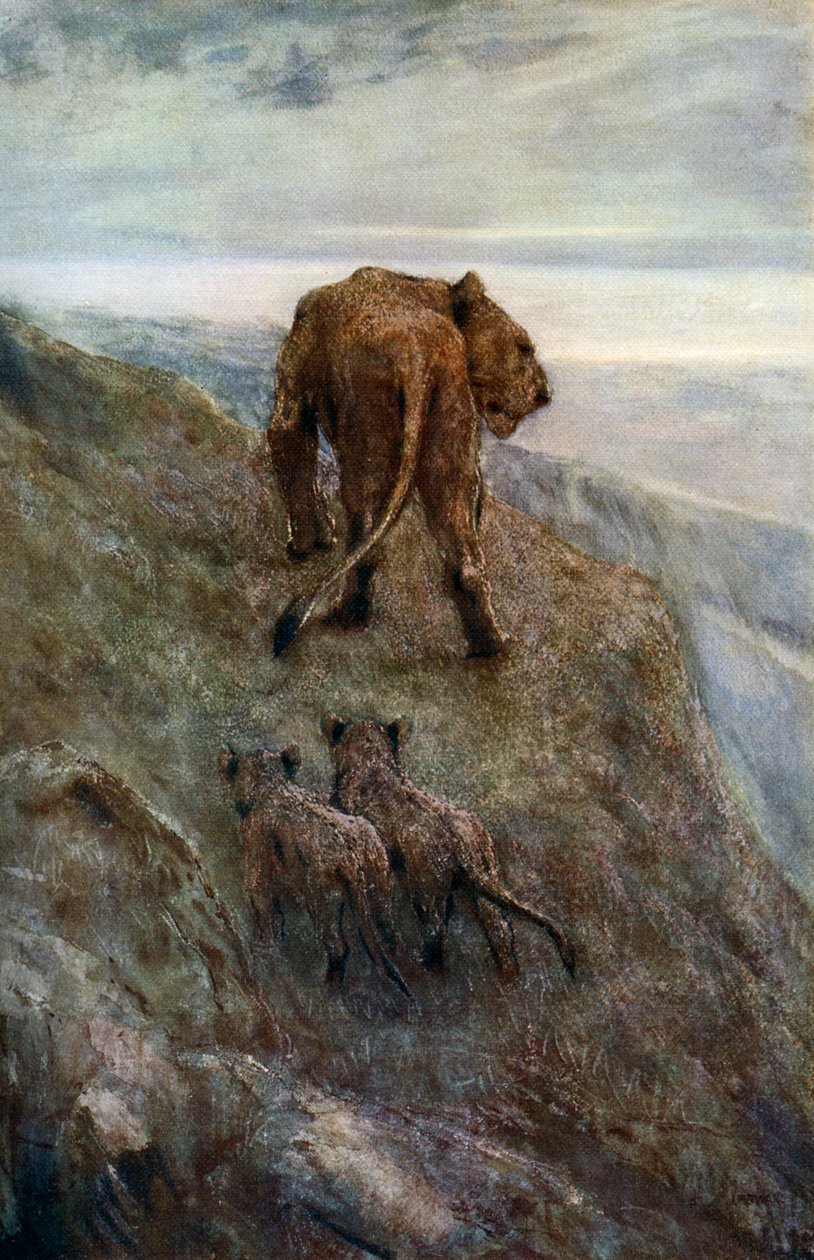 No alerta - leoa e filhotes, c1878-1910, 1912. de John Macallan Swan