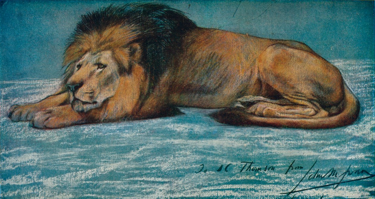 Estudo Pastel de um Leão, c1900 de John Macallan Swan