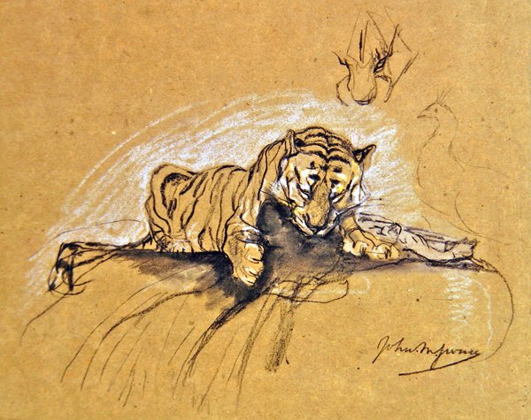 Tigresa comendo, c.1875 (carvão e giz colorido sobre papel) de John Macallan Swan
