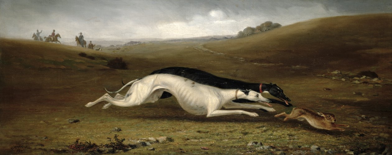 Lebre correndo em uma paisagem, 1870 de John Marshall