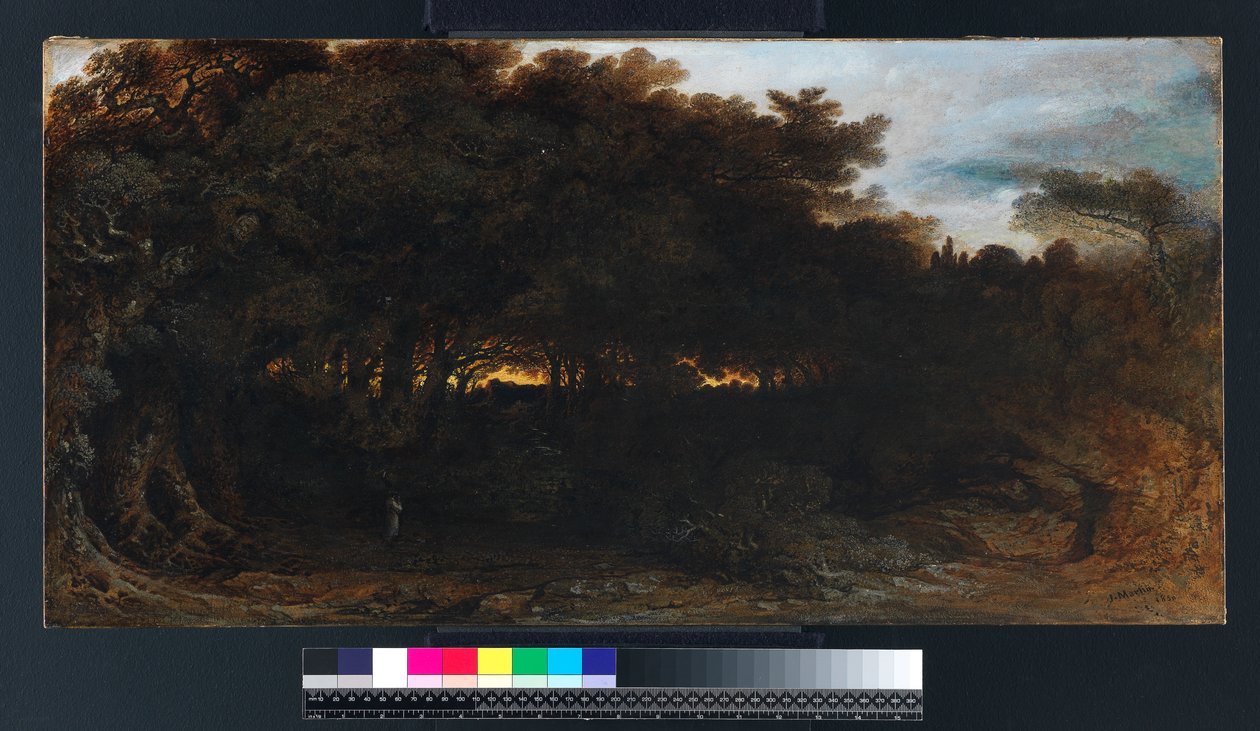 Twilight in the Woodlands, 1850 (óleo sobre papel colocado sobre tela) de John Martin
