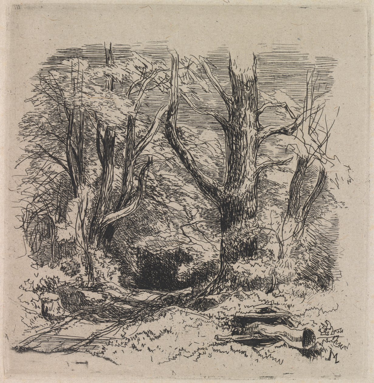 Um Caminho através da Madeira de John Middleton