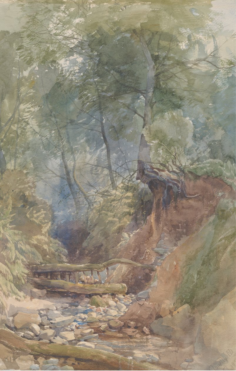 Um riacho perto de Clovelly, North Devon, 1850. de John Middleton