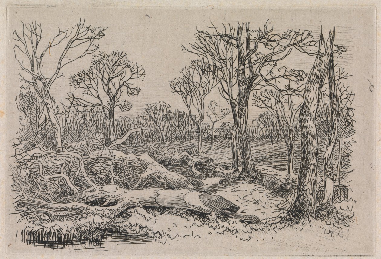Madeira cortada, Burningham de John Middleton