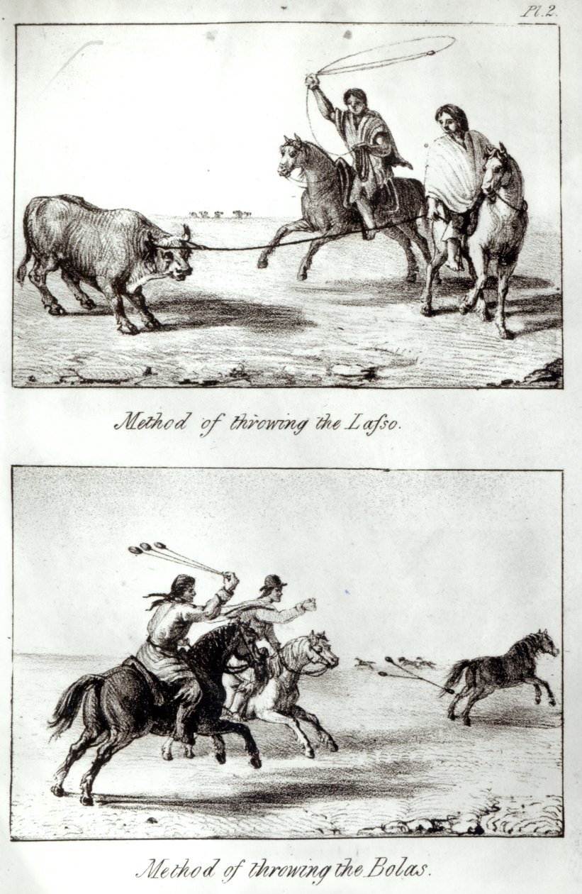 Métodos de arremessar o laço e as esferas, de “viagens no Chile e no La Plata” por John Miers, 1826 (litho) (foto do bw) de John Miers