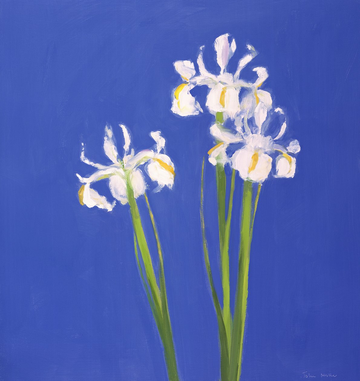 Dutch White Exelsior, 2000 de John Miller