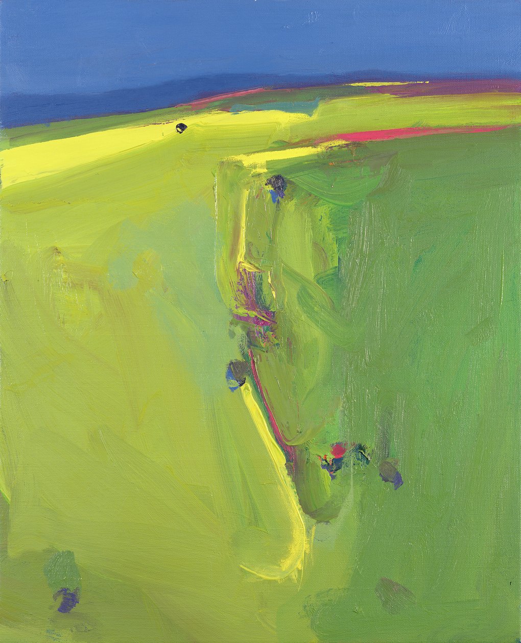 Downs de verão, 2000 de John Miller