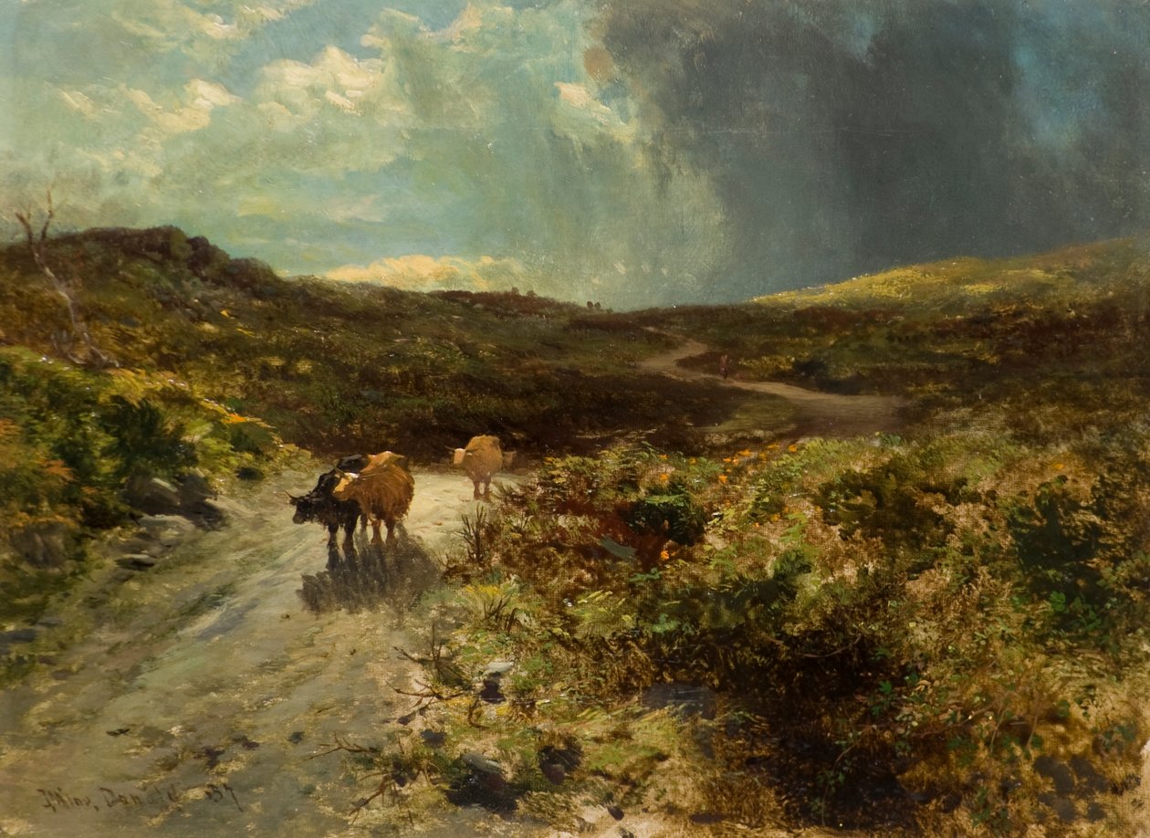 A Estrada do Condutor de John Milne Donald