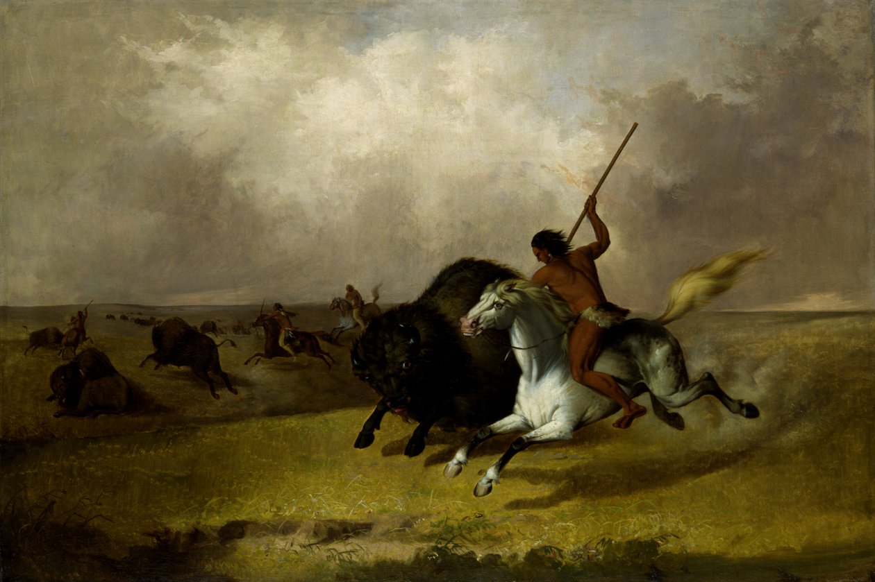 Buffalo Hunt on the Southwestern Prairies, 1845. de John Mix Stanley