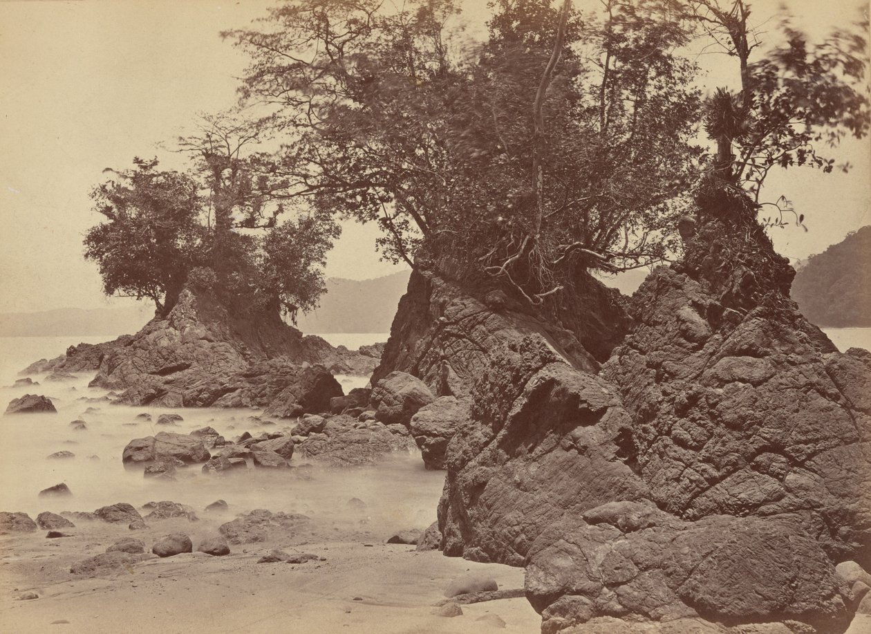 Ilhas, Baía de Limon, 1871 (foto) de John Moran