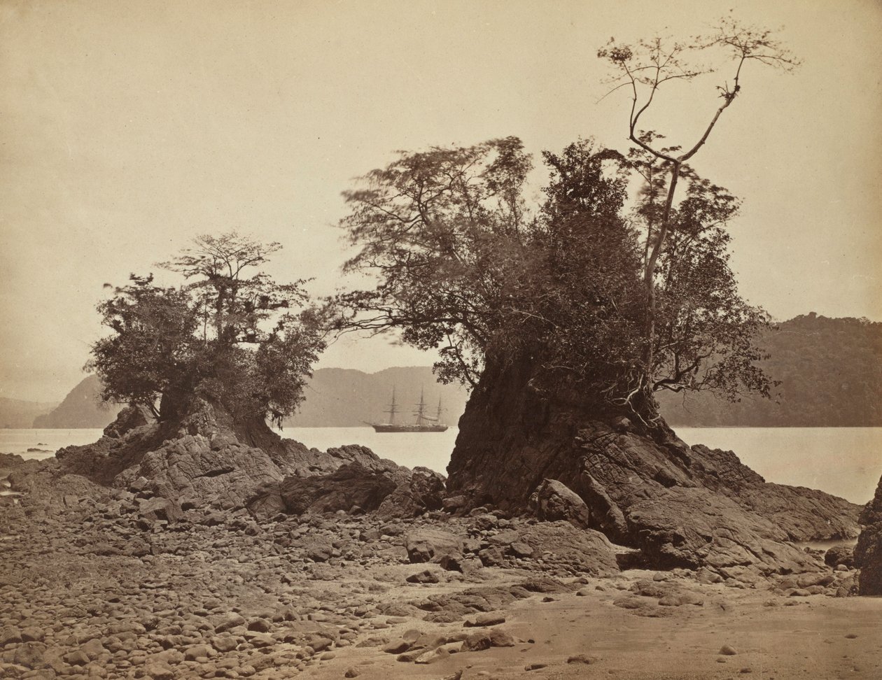 Ilhas em Lemon Bay, 1871. de John Moran