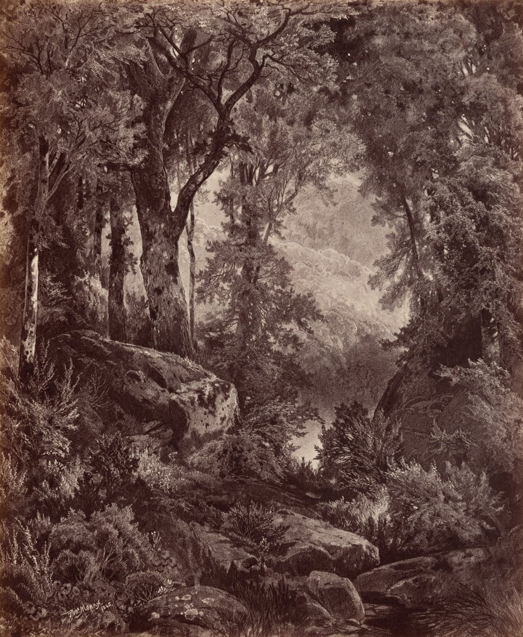 Solitude,1865 (foto) de John Moran