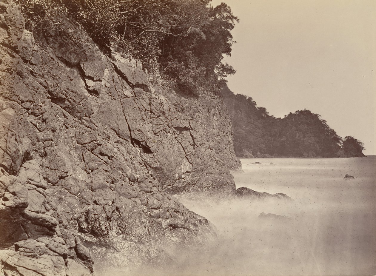 Tropical Scenery, Cliff - Limon Bay, 1871. de John Moran