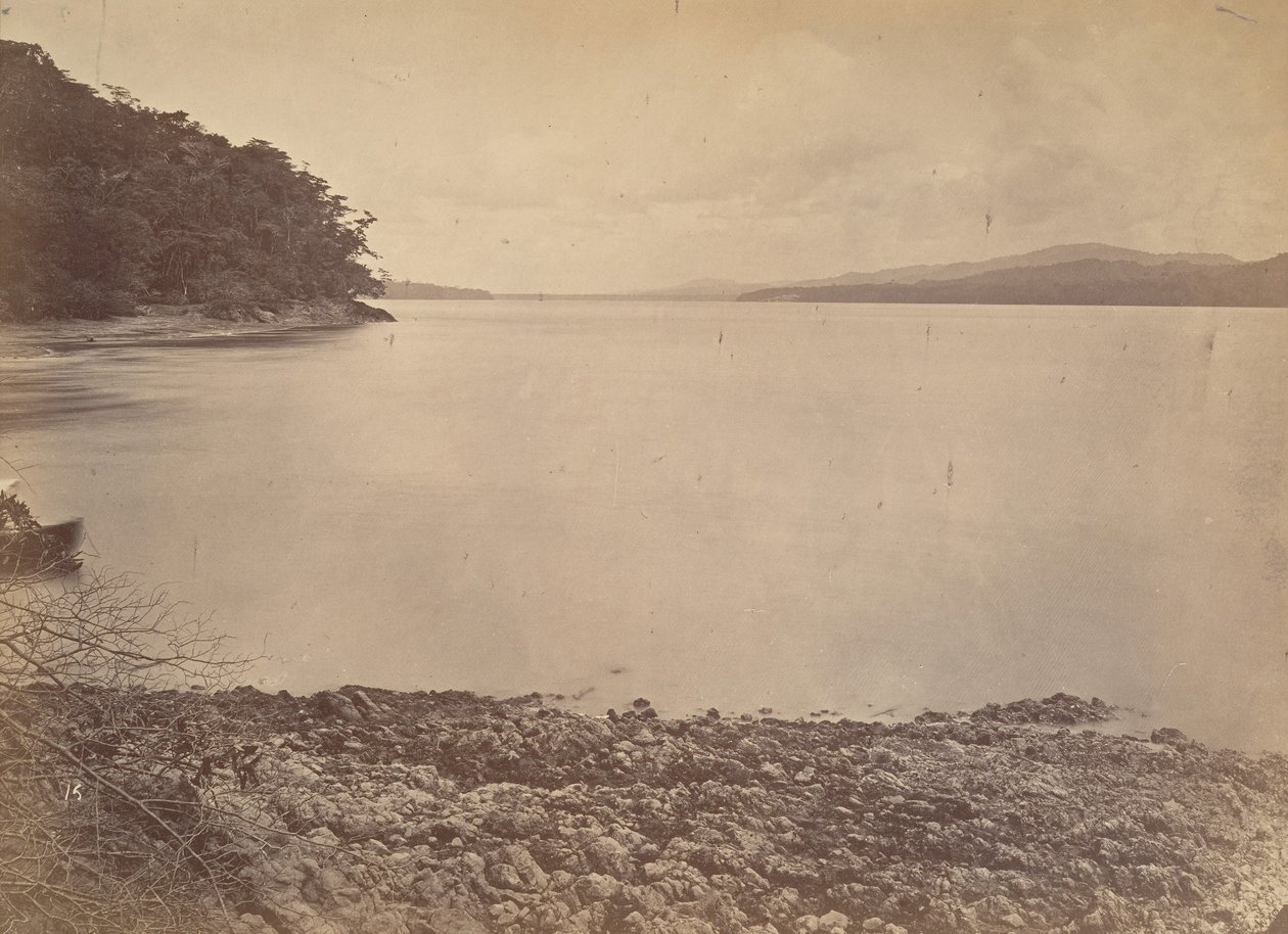 Tropical Scenery, Darien Harbor - Looking South, 1871. de John Moran