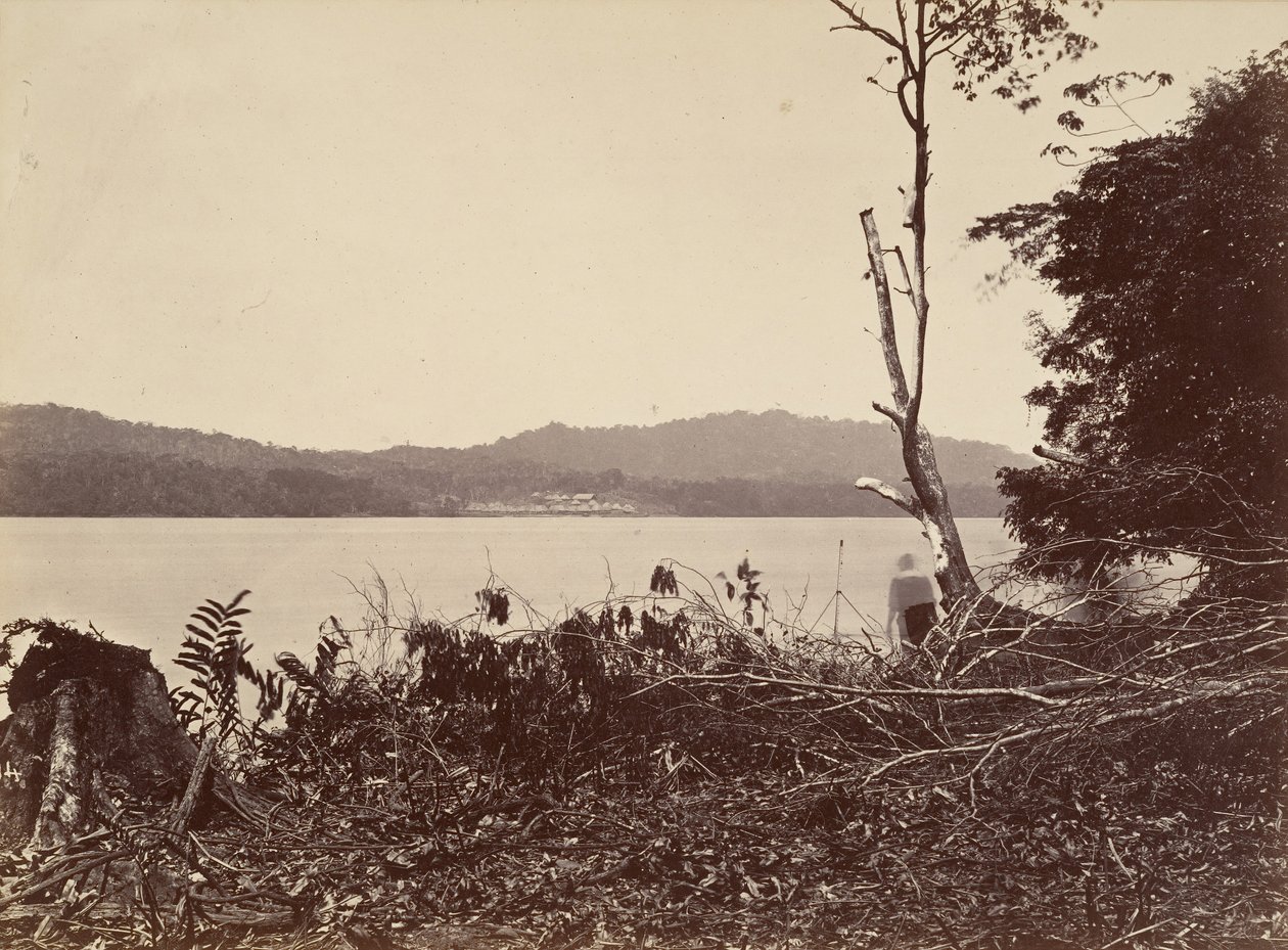 Tropical Scenery, Darien Harbor, Chipigana, 1871. de John Moran