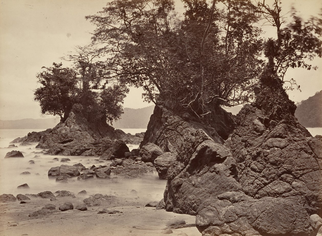 Cenário Tropical, Baía de Limon - Maré Baixa, 1871. de John Moran