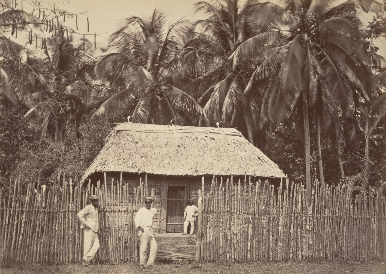 Tropical Scenery, Native Hut, Turbo, 1871. de John Moran