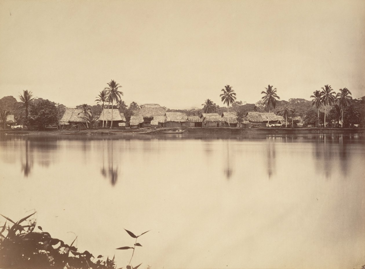 Tropical Scenery, Santa Maria del Real, Darien, 1871. de John Moran