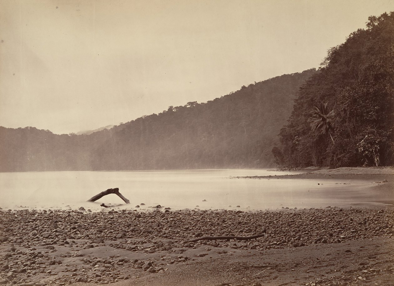 Tropical Scenery, The Terminus of the Proposed Canal, Limon Bay, 1871. de John Moran