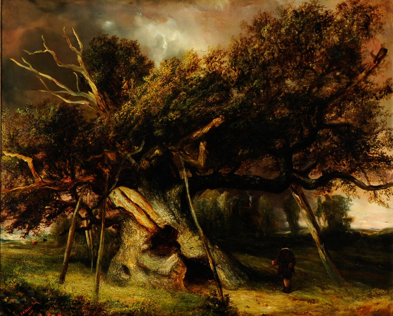 O Carvalho de Cowthorpe de John Nicholas Rhodes