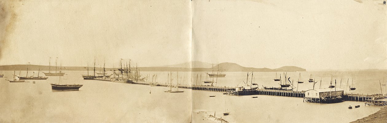 Porto de Auckland, 1865 (impressão de albume) de John Nicol Crombie