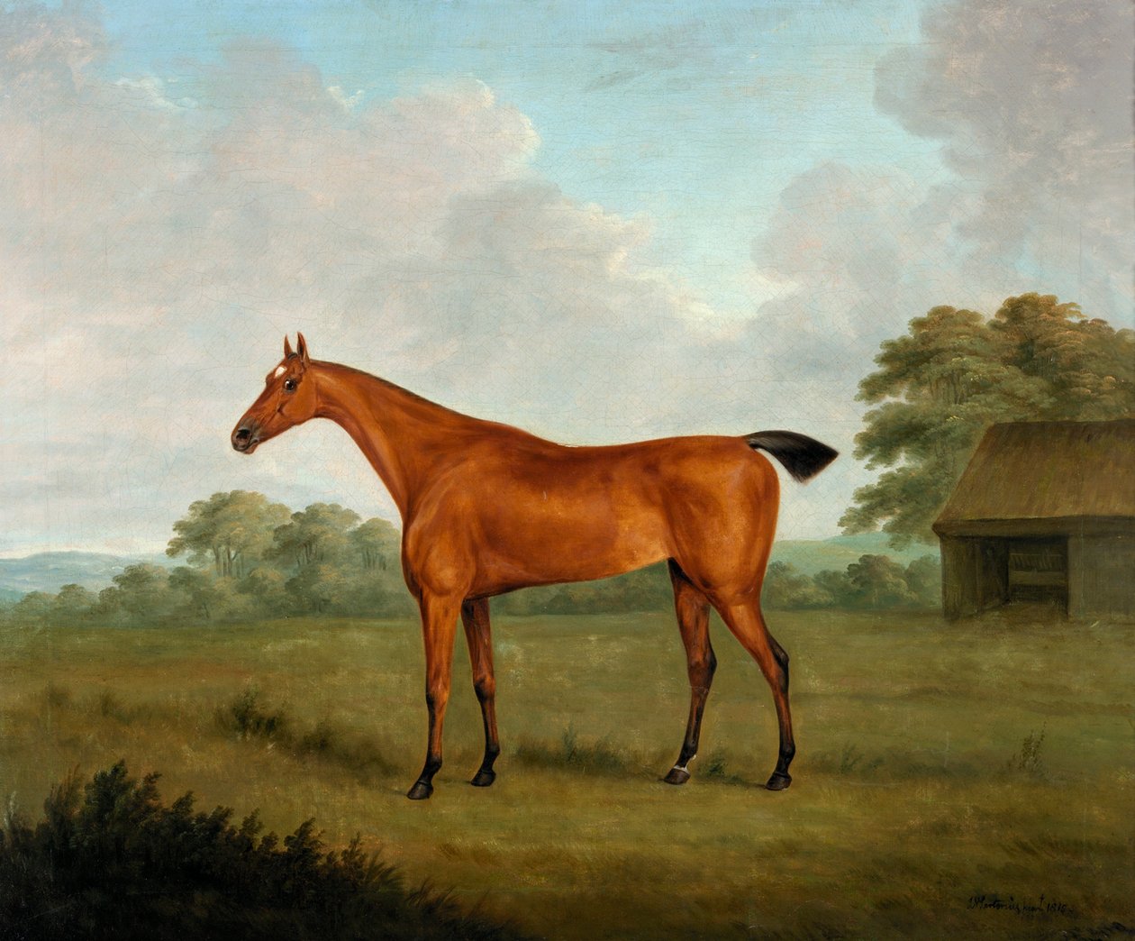 Cavalo castanho em uma paisagem, 1815 de John Nott Sartorius
