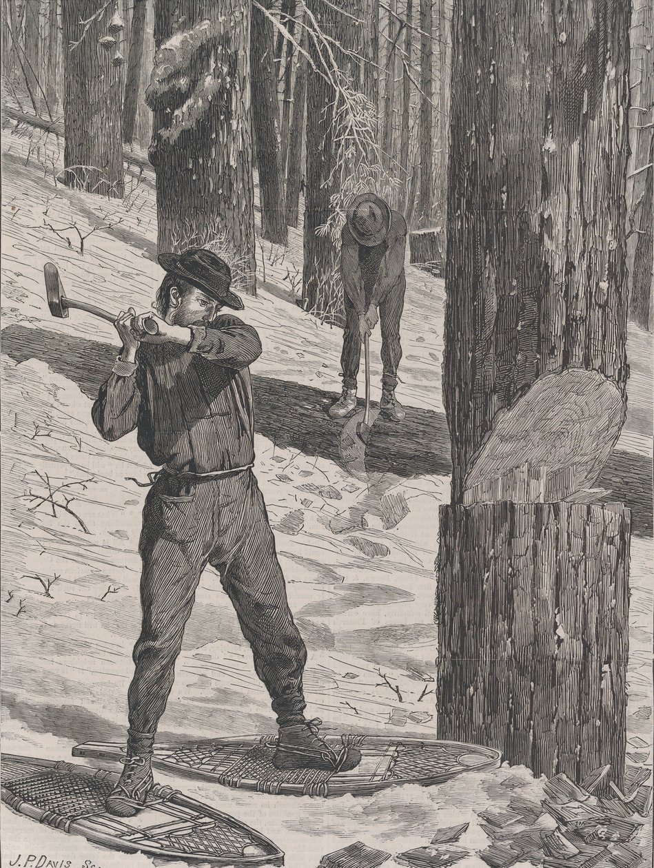 Pesando no inverno todos os sábados, Vol. II, Nova Série, 28 de janeiro de 1871. de John Parker Davis
