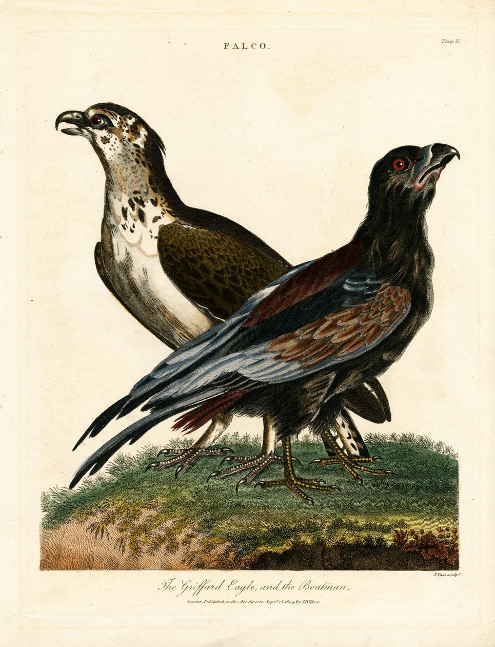A águia de Griffard e o barqueiro de John Pass