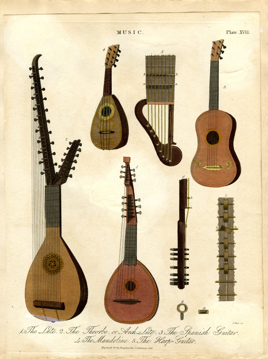O alaúde; o teorbo ou alaúde de arco; a guitarra espanhola; o bandolim; a harpa-citarra de John Pass