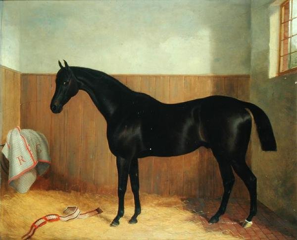 Tommy, Portrait of a Horse, c.1870s (óleo sobre tela) de John Paul