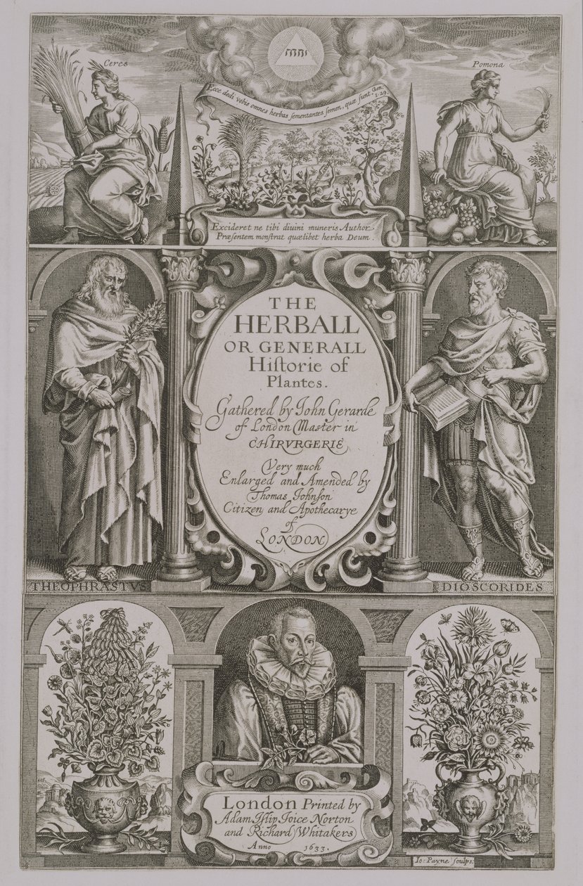 Página de rosto para a segunda edição de The Herball de John Gerard (1564-1612) 1633 de John Payne