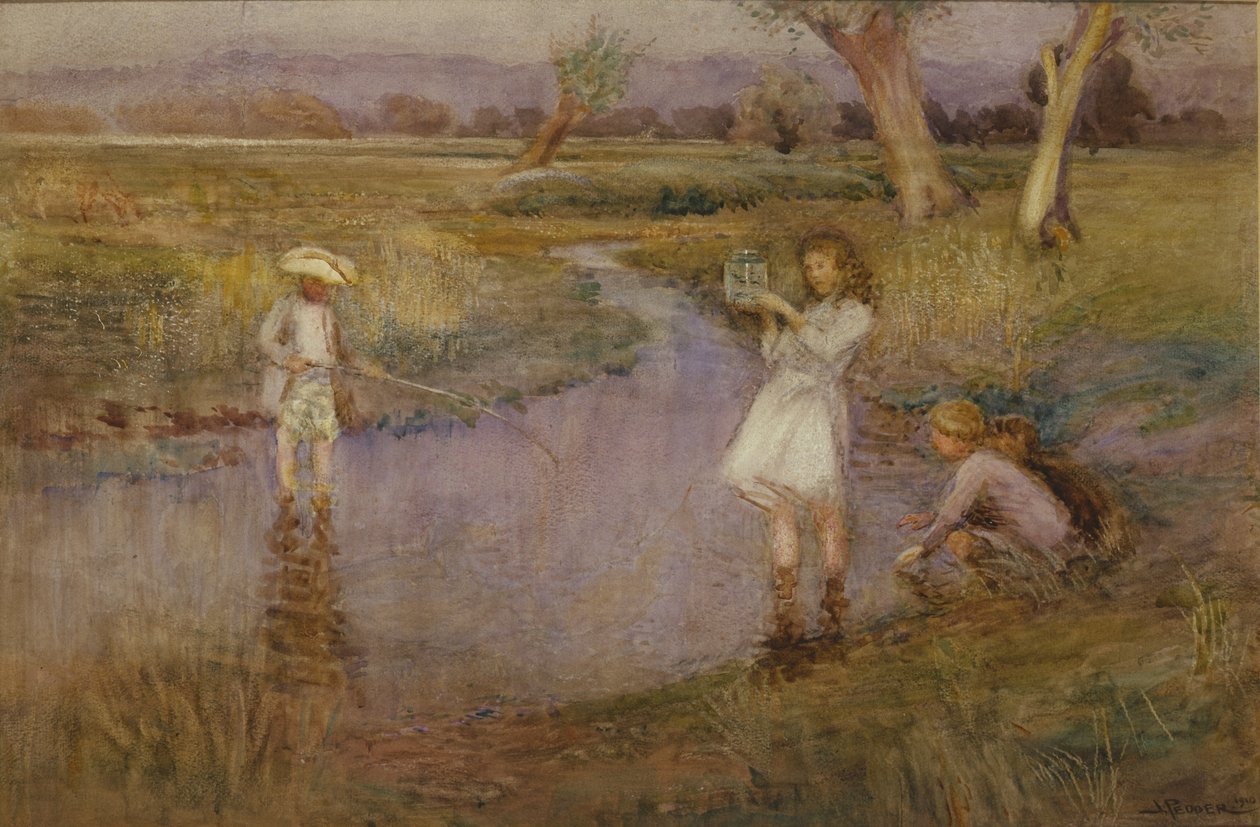 Minnows captura - cidade Meadows, Maidstone, Kent de John Pedder