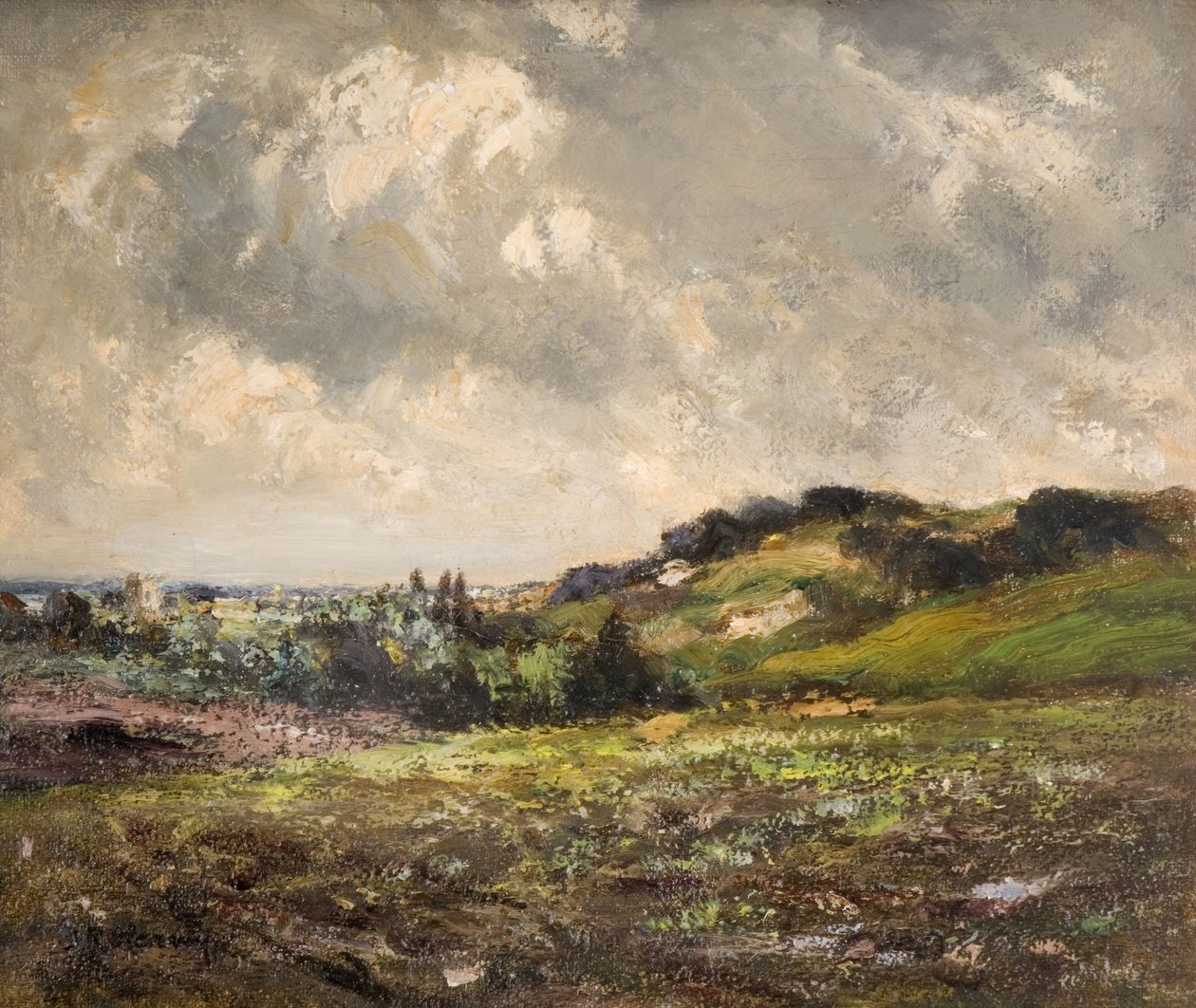 Windswept Hills, 1880-1930. de John Rabone Harvey
