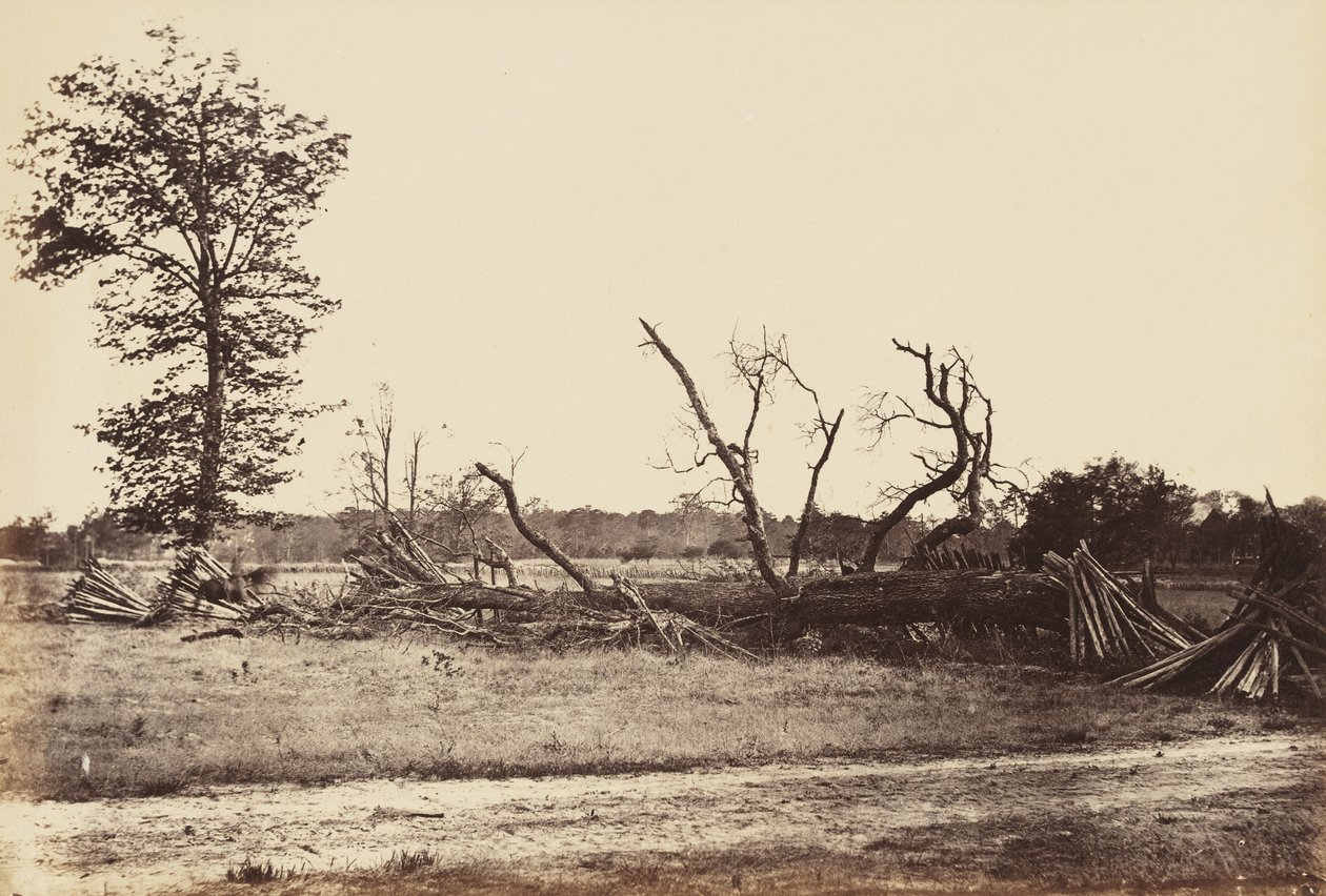 Linha Extrema de Obras Confederadas, Cold Harbor., Abril de 1865 (impressão albumina montada em papel de capa) de John Reekie