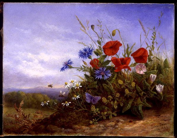Flores Selvagens em um Banco de John Rees