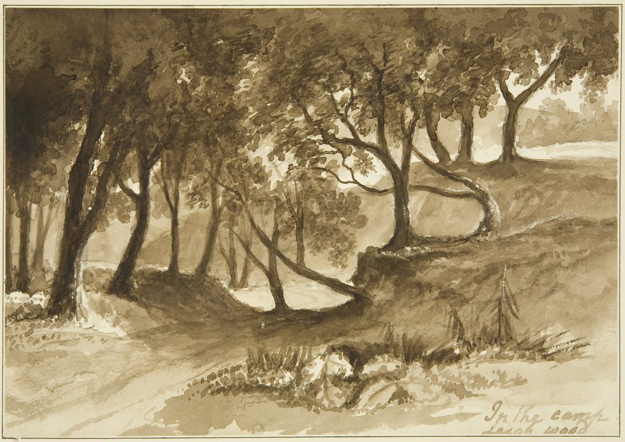 Vista no Acampamento Burwalls, Leigh Woods de John Reverend Eden