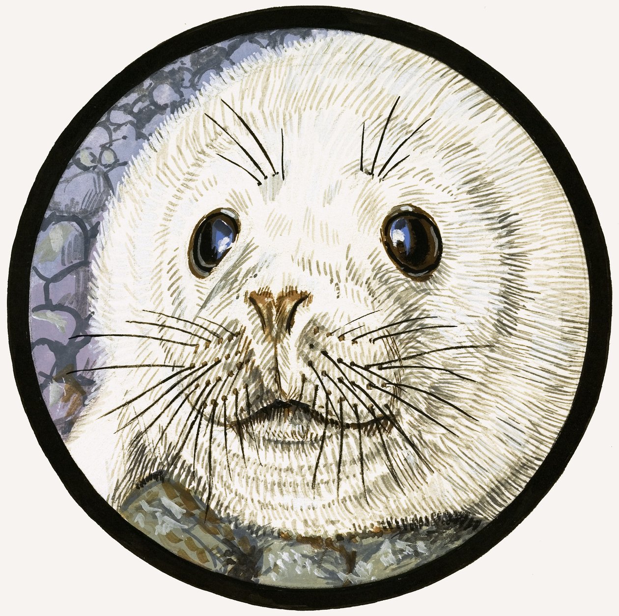 A foca, nossa amiga do mar de John Rignall