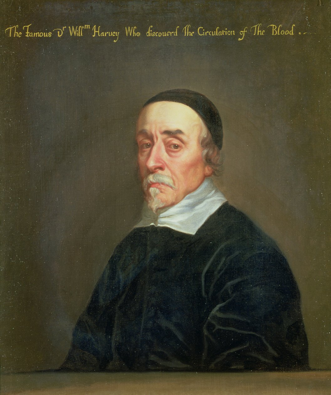Retrato de William Harvey (1578-1657) de John Riley
