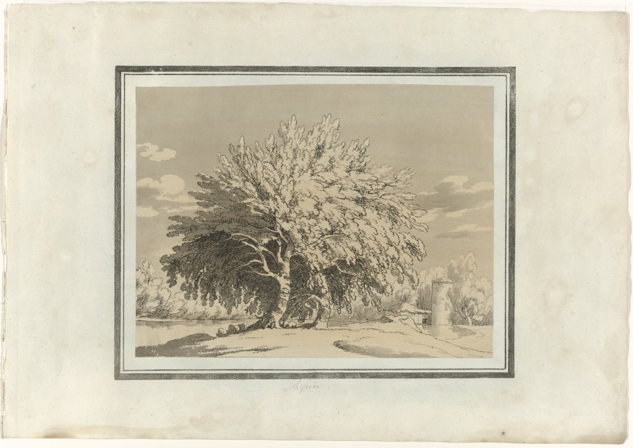 Aspen de John Robert Cozens