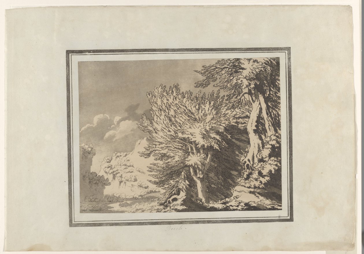 Faia de John Robert Cozens